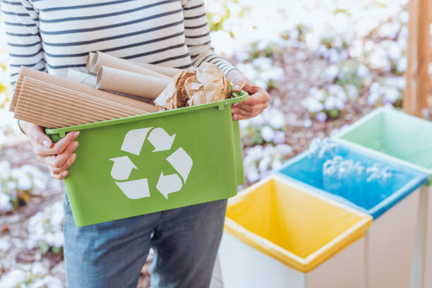 istockphoto-843249732-612x612-1